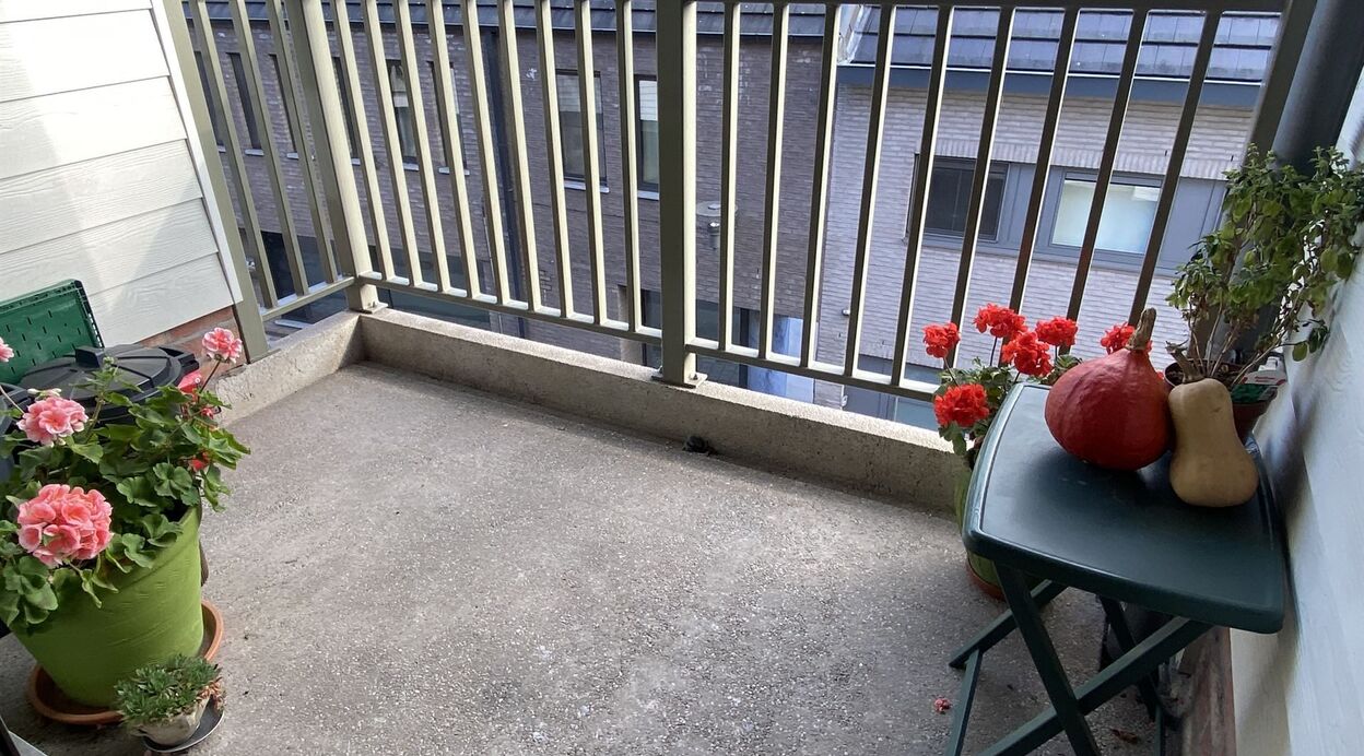 Appartement te huur in BORNEM