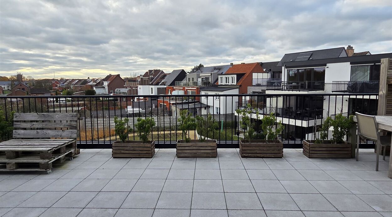 Appartement te huur in BORNEM