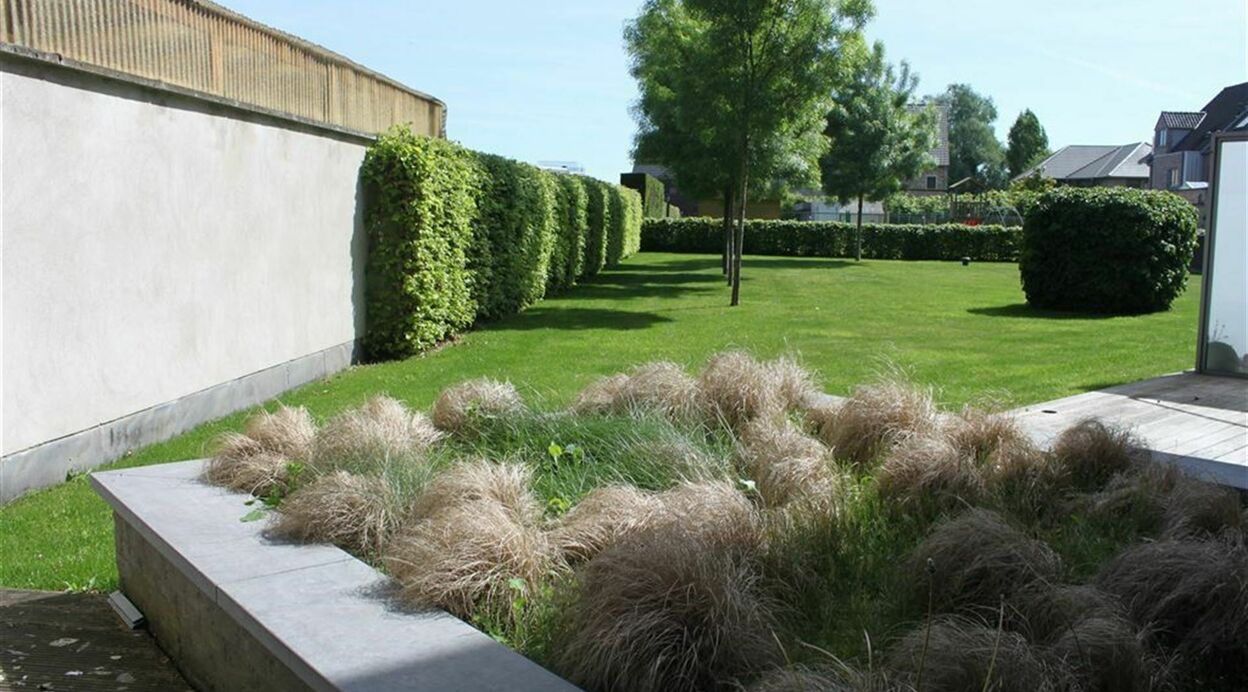 Appartement te huur in SINT-AMANDS