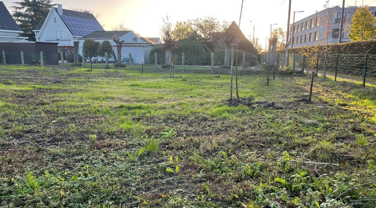 Bouwgrond te koop in BAARDEGEM
