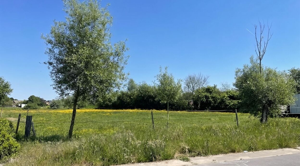 Bouwgrond te koop in BLAASVELD