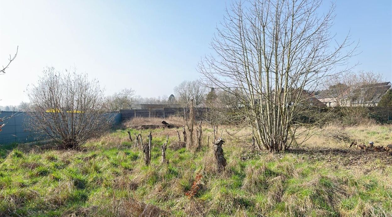 Bouwgrond te koop in BORNEM