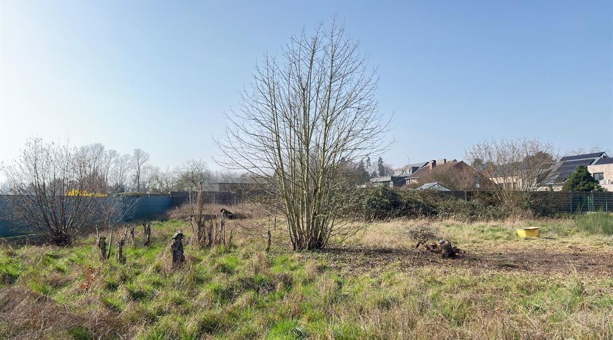 Bouwgrond te koop in BORNEM