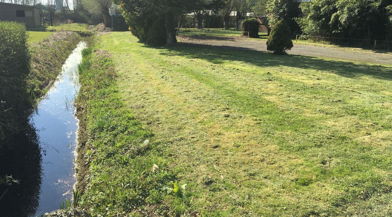 Bouwgrond te koop in BORNEM