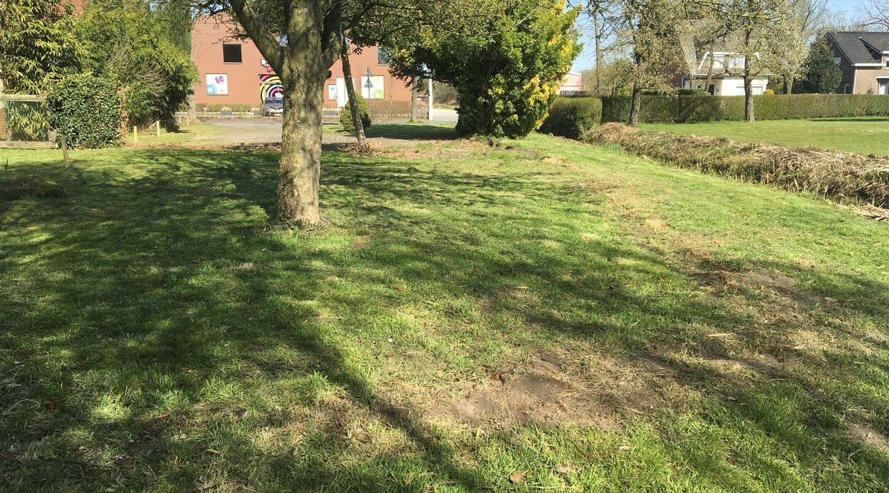 Bouwgrond te koop in BORNEM