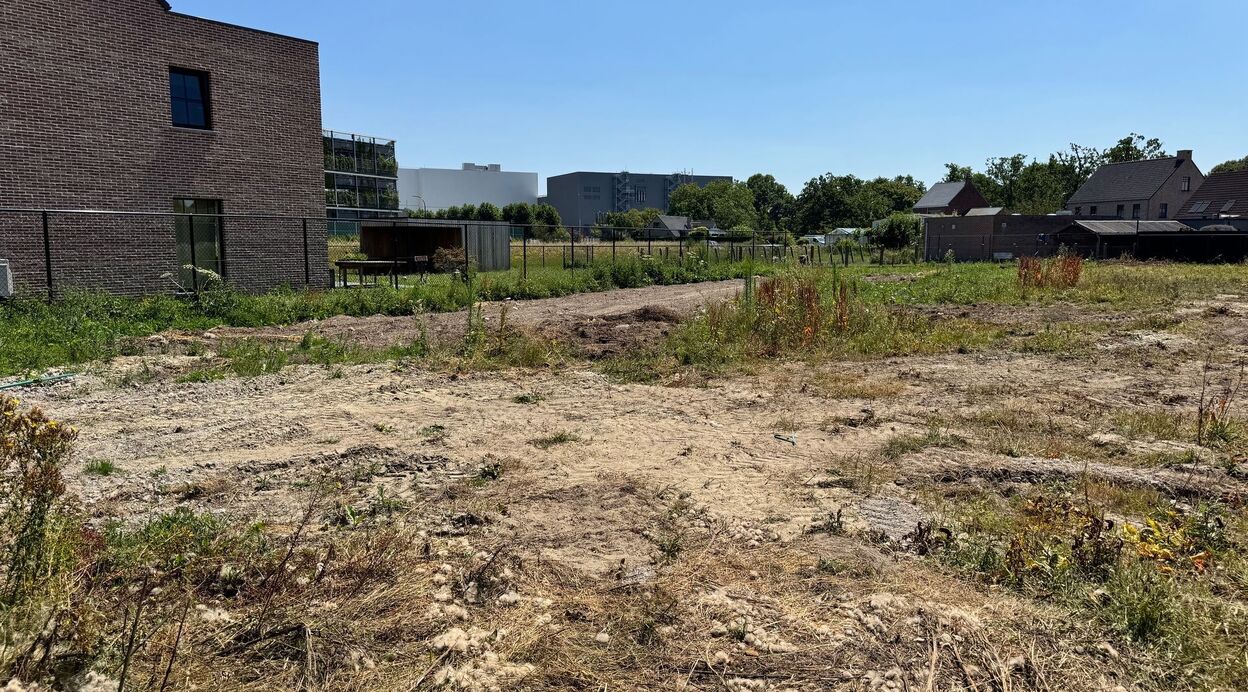 Bouwgrond te koop in PUURS-SINT-AMANDS