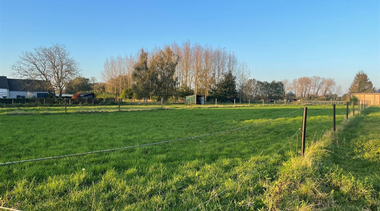 Bouwgrond te koop in PUURS-SINT-AMANDS