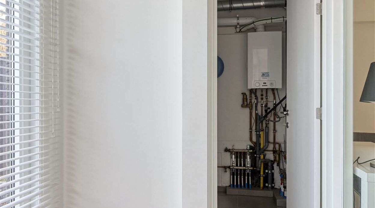 Burelen te huur in PUURS-SINT-AMANDS