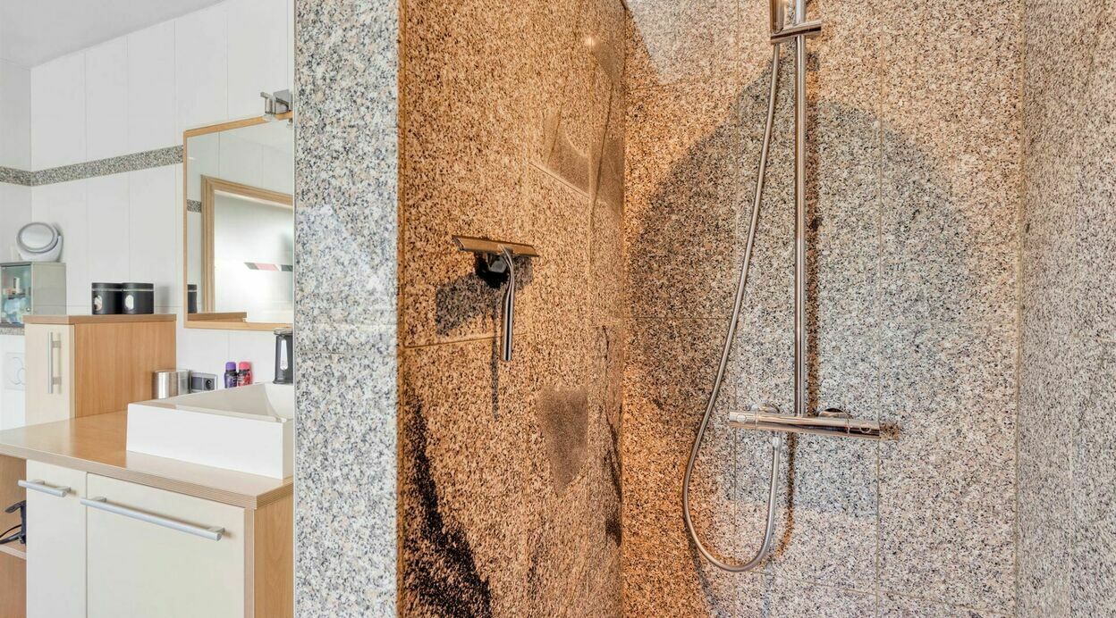 Dakappartement te koop in WILLEBROEK