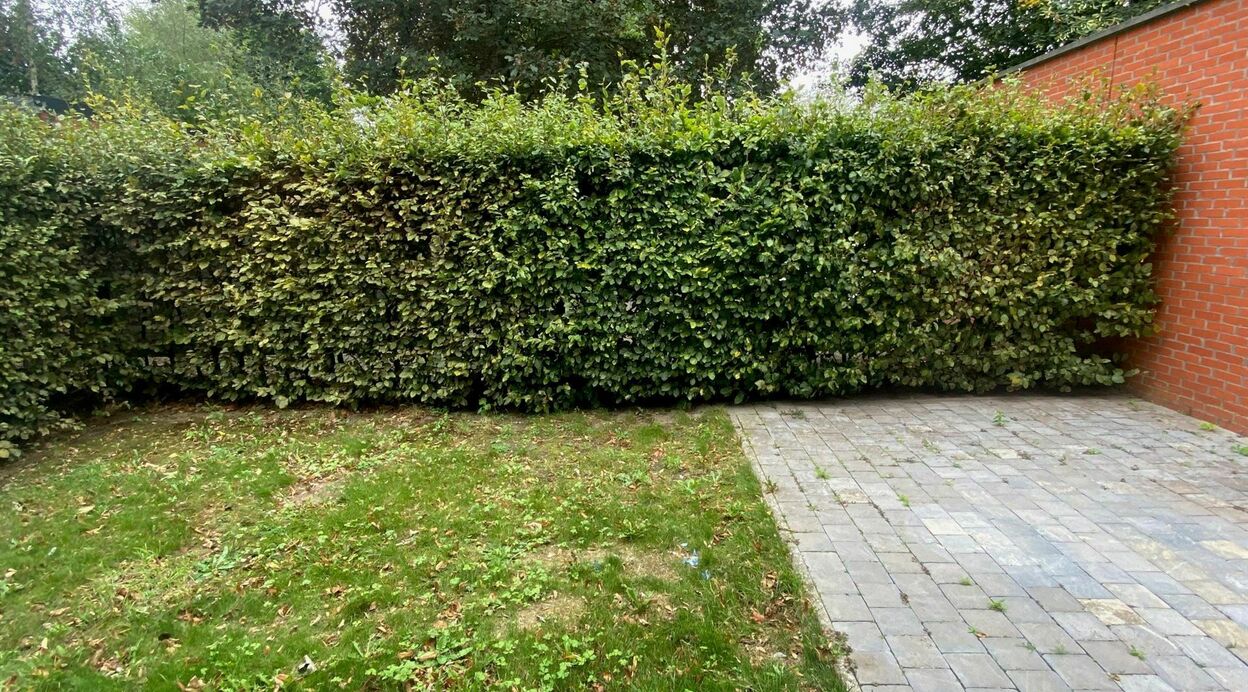 Duplex te huur in PUURS