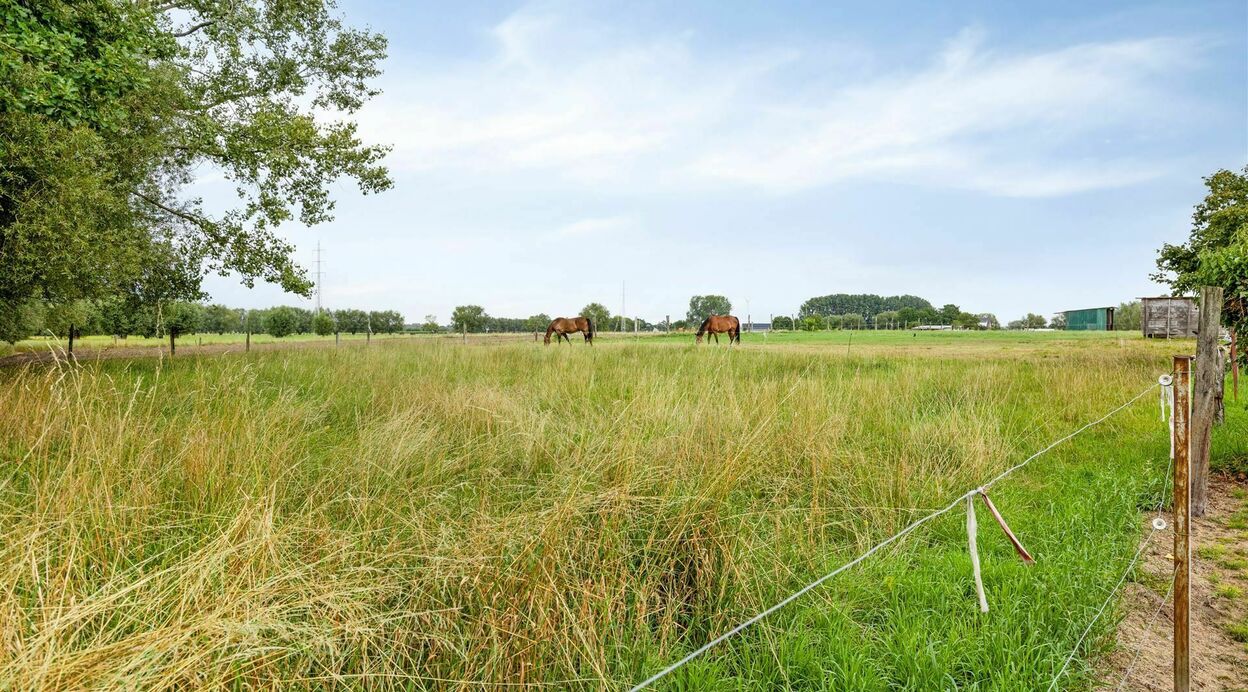 Half Open Bebouwing te koop in OPPUURS