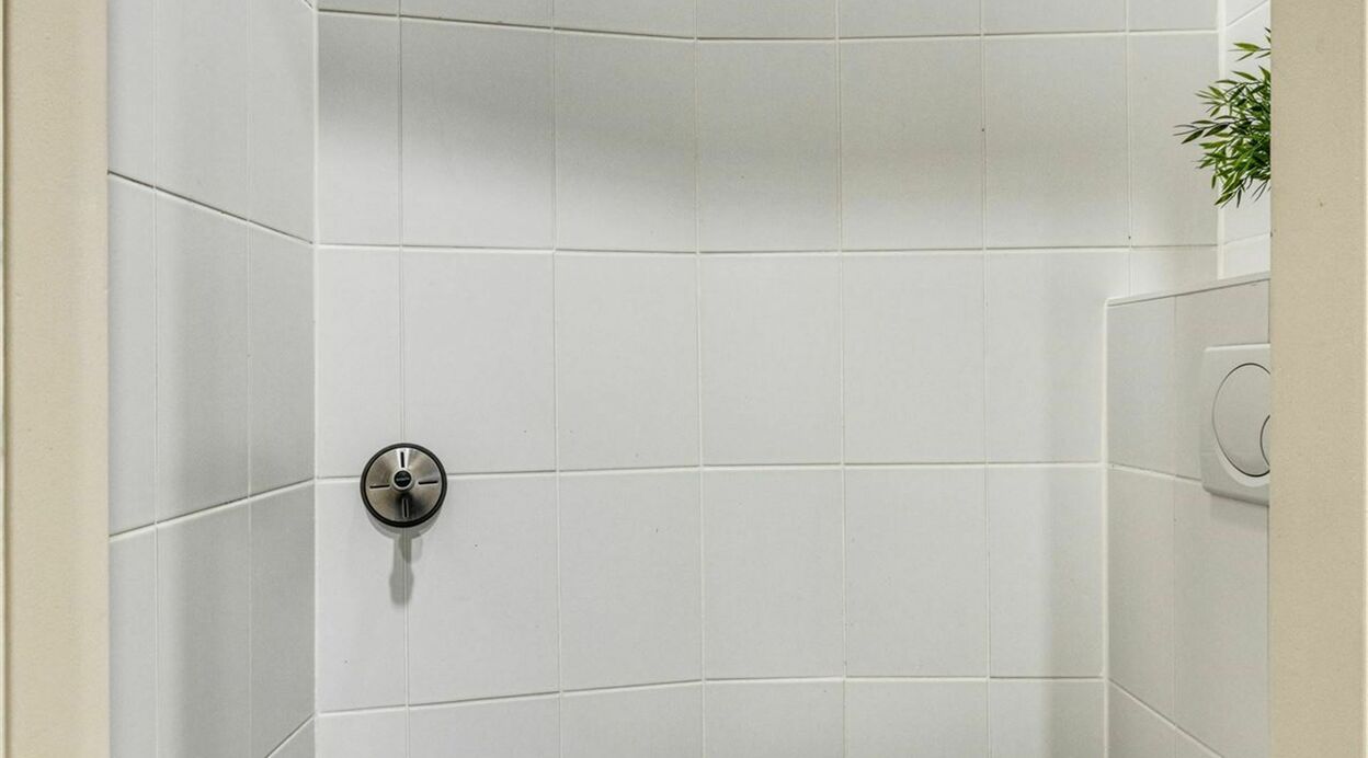 Handelspand te huur in PUURS