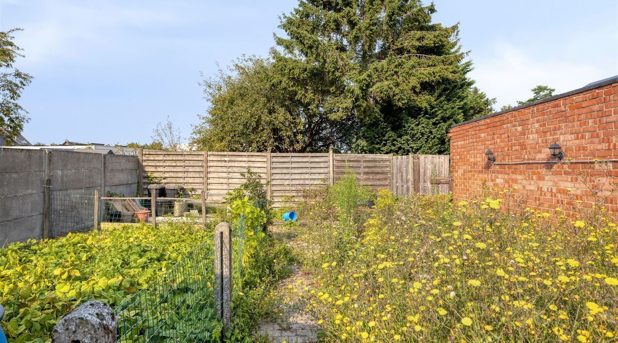 Handelspand te koop in BREENDONK