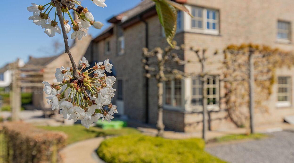 Landhuis te koop in PUURS-SINT-AMANDS