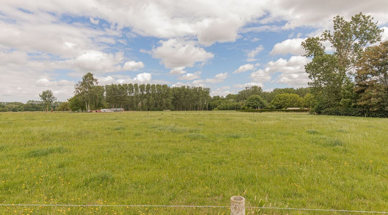 Open bebouwing te koop in PUURS-SINT-AMANDS
