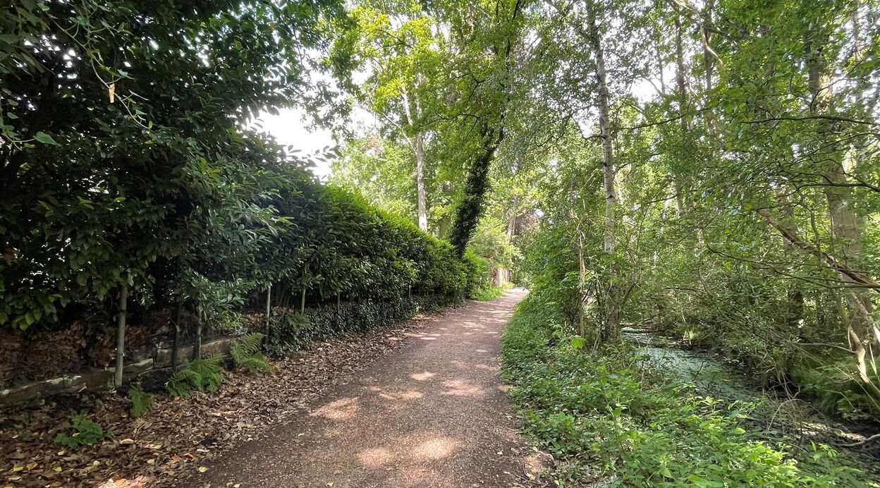 Villa te koop in BLAASVELD