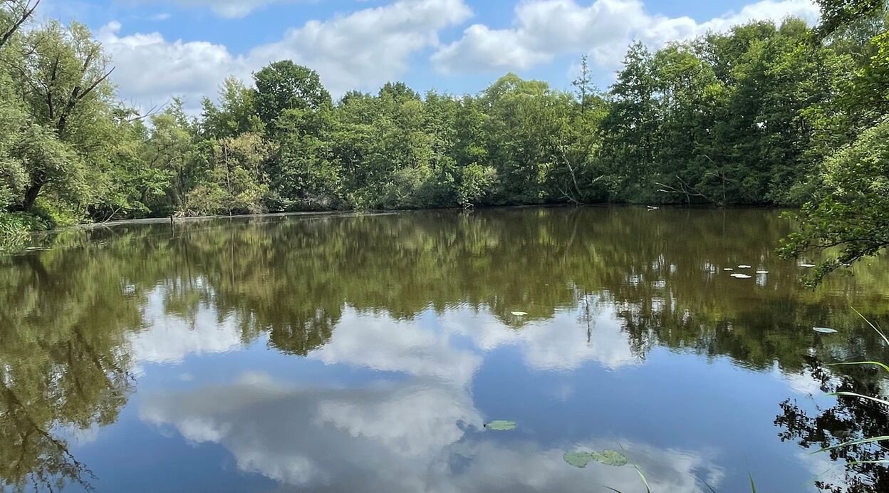 Villa te koop in BLAASVELD