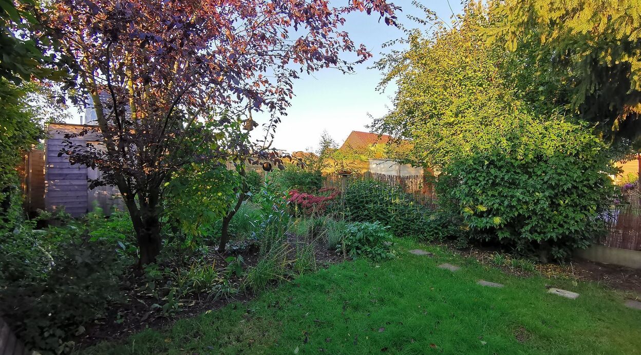 Woning te huur in BORNEM