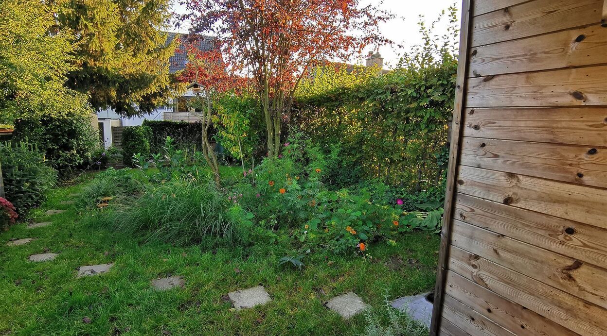 Woning te huur in BORNEM