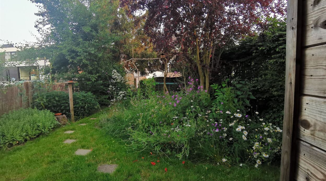 Woning te huur in BORNEM