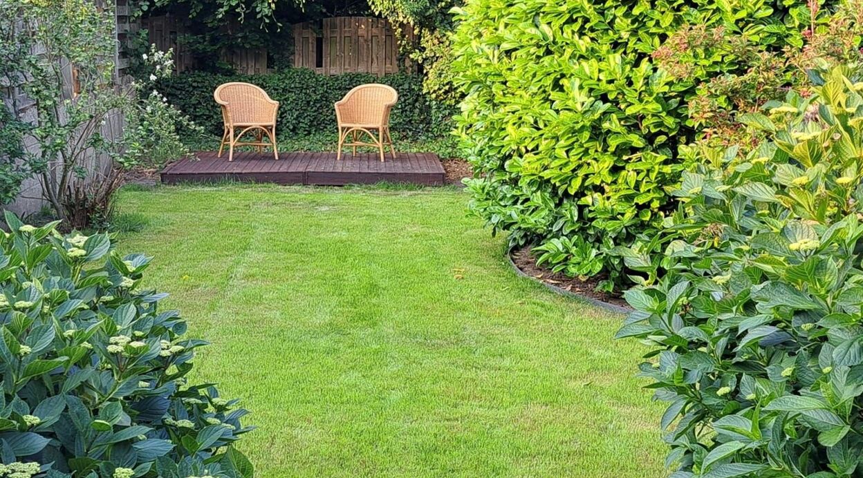 Woning te huur in PUURS-SINT-AMANDS