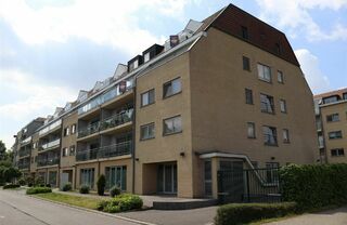 Appartement te huur in WILLEBROEK