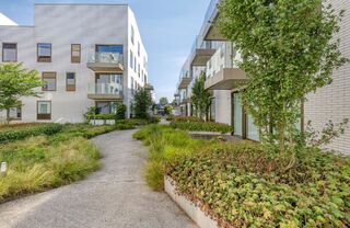 Assistentiewoning te koop in PUURS-SINT-AMANDS