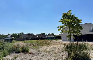 Bouwgrond te koop in PUURS-SINT-AMANDS