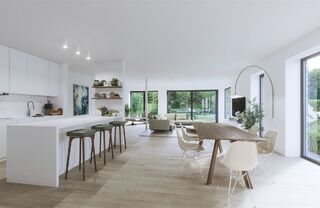 Woning te koop in BLAASVELD