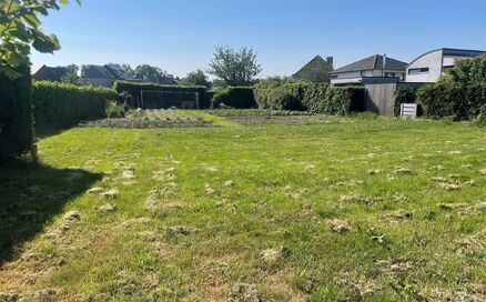 Bouwgrond te koop in BLAASVELD